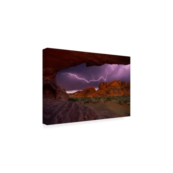 Darren White Photography 'Desert Storm' Canvas Art,12x19